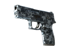 P250 | Steel Disruption image